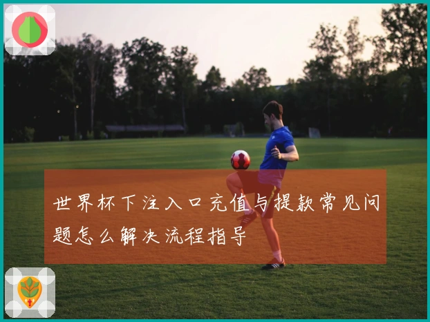 世界杯下注入口充值与提款常见问题怎么解决流程指导