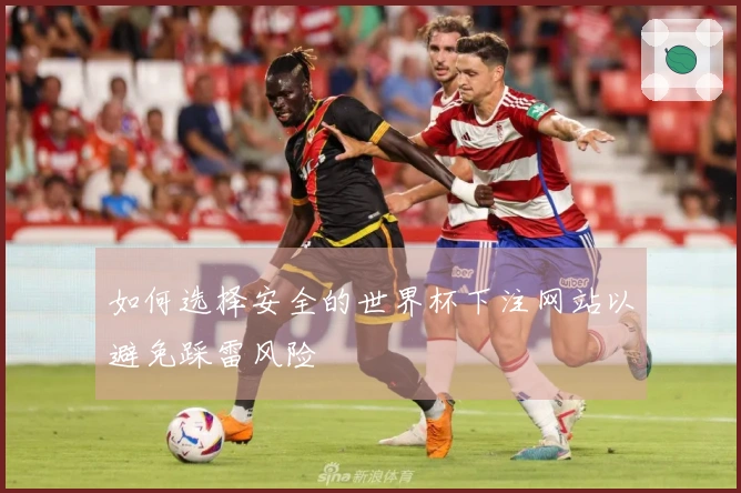 如何选择安全的世界杯下注网站以避免踩雷风险