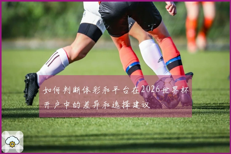 如何判断体彩和平台在2026世界杯开户中的差异和选择建议